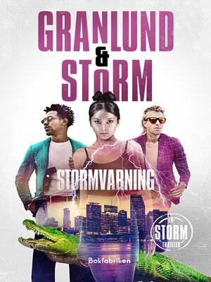 cover image of Stormvarning